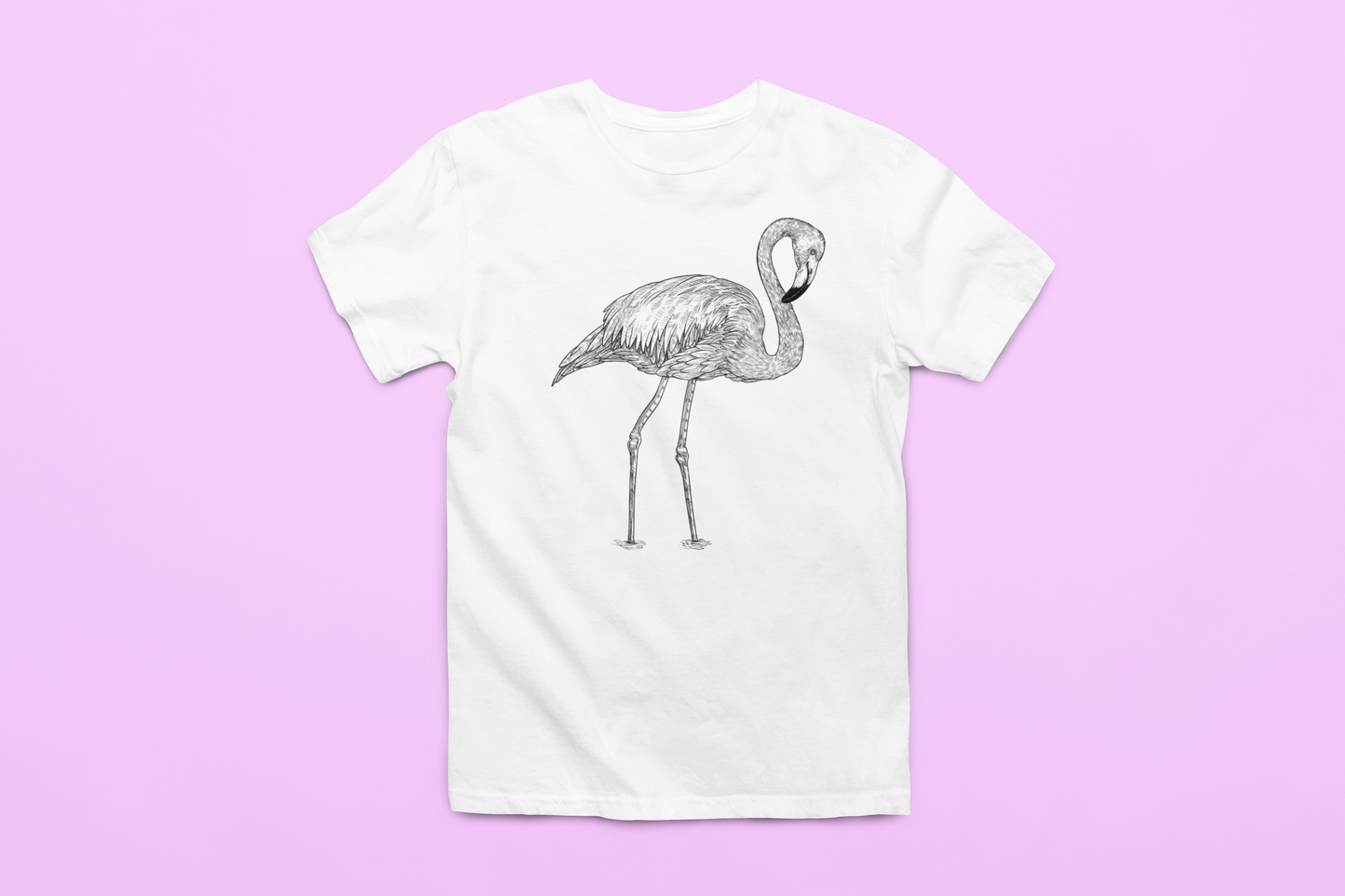 Mr. Flamingo