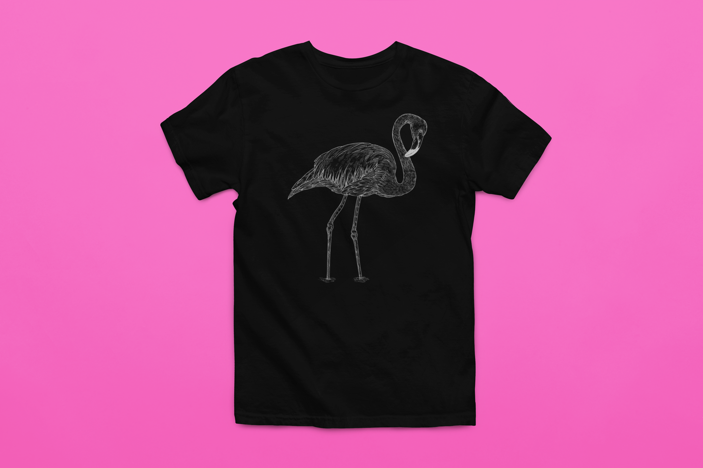 Mr. Flamingo